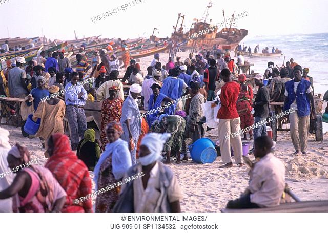 FISHING, MAURITANIA. Nouakchott. OVER FISHING. Landing fish on the beach. 4, 000 traditional fishing boats compete for fish - the main economic activity in...