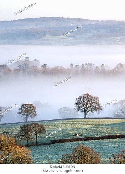 Mist covered countryside in the Exe Valley just north of Exeter, Devon, England, United Kingdom, Europe