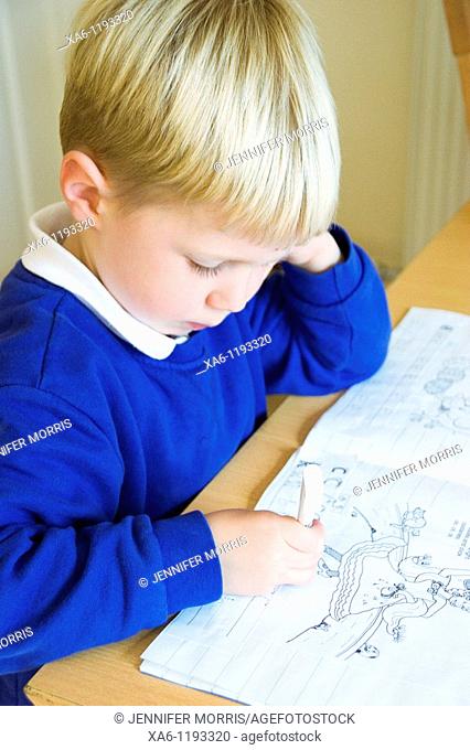 A young boy concentrates as he completes his written homework