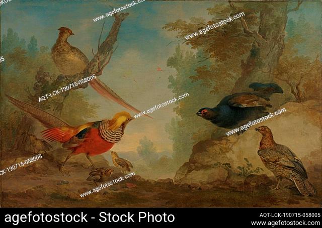 Pheasants, Golden pheasants with chickens and grouse in a landscape, walker and runner birds: pheasant, Aert Schouman, 1730 - 1760, canvas, oil paint (paint)
