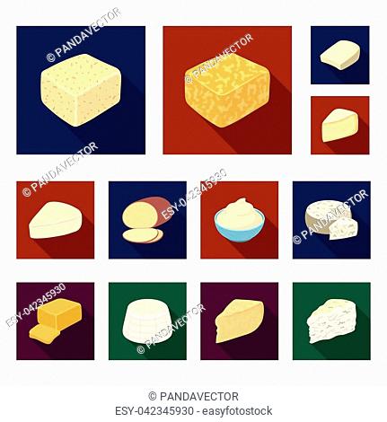 Different kind of cheese flat icons in set collection for design.Milk product cheese vector symbol stock illustration
