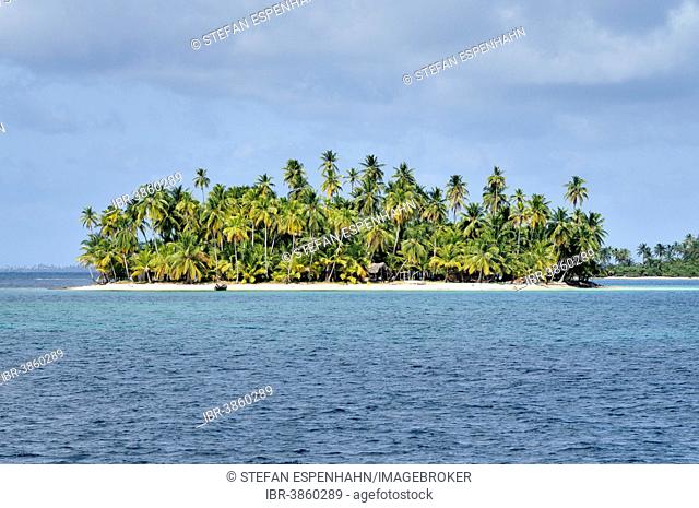 Tropical island with palm trees, Cayos Los Grullos, Mamartupo, San Blas Islands, Panama