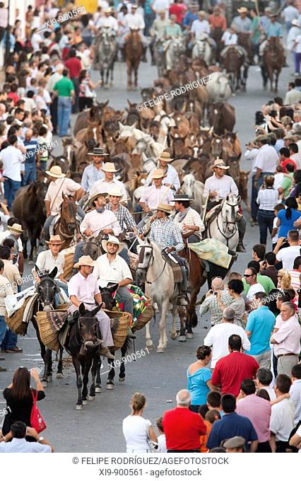 'Saca de las yeguas' festival, town of Almonte, province of Huelva, Andalusia, Spain. Dating back to 1504, every 26th of June