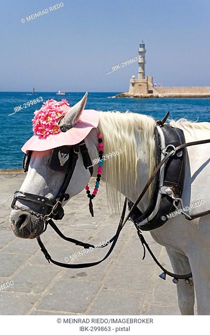 Decorated coach horse, Crete, Greece, Europe