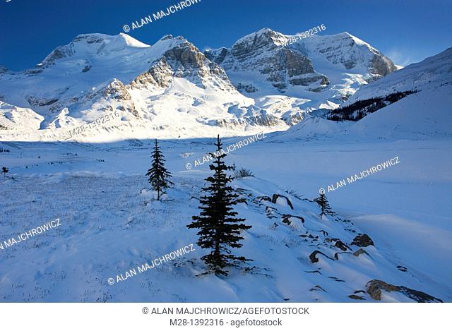 Mount Athabasca and Mount Andromeda in winter seen from the glacial plain of the Sunwapta River, Jasper National Park Alberta Canada
