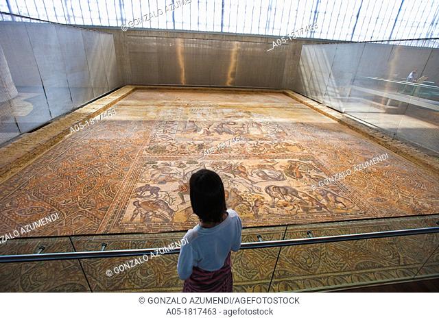 Roman Town of La Olmeda  IV century D C  The Room Oecus decorated with mosaics that depict the legend of Ullysees and Achilles  Lion of Atlas mountain in...