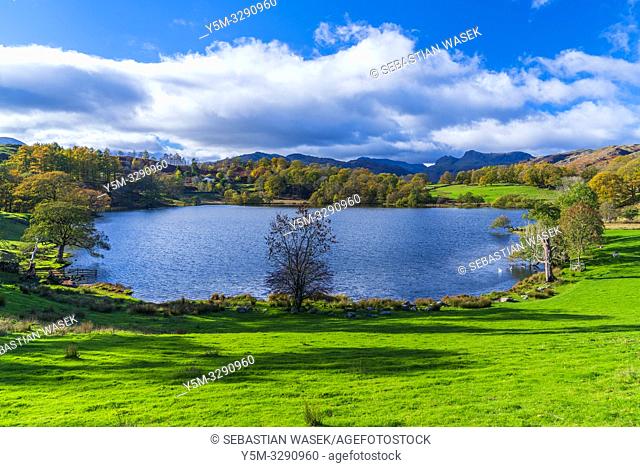 Loughrigg Tarn Elterwater, Lake District National Park, Cumbria, England, UK, Europe