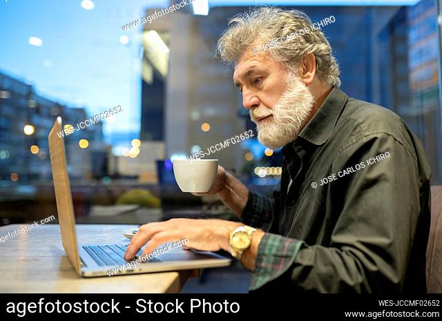 Businessman using laptop while working in cafe