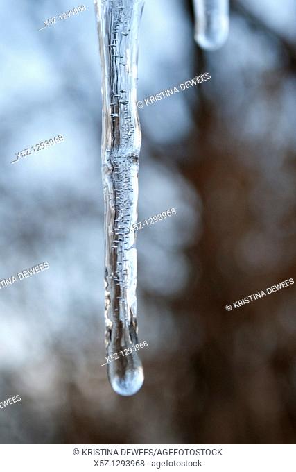 An icicle full of trapped air bubbles
