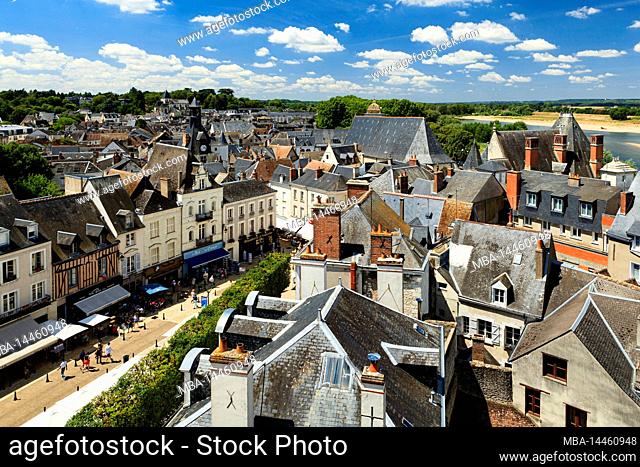 View the city from the castle, Amboise, France