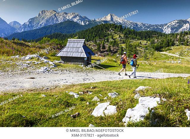 Mountains in summer, tourists and huts. Velika Planina sky area. Upper Carniola region. Slovenia, Europe