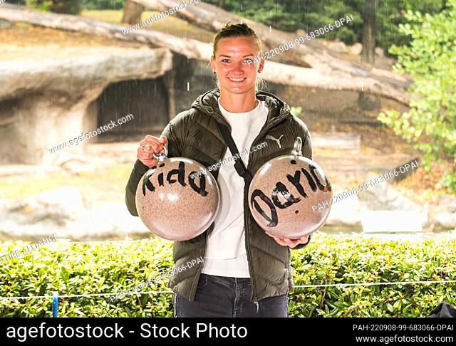08 September 2022, Hamburg: Alexandra Popp, soccer player, stops at Hagenbeck's zoo in front of the tiger enclosure and holds two play balls for tigers named...