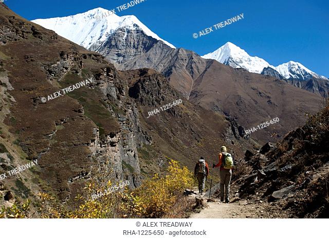 Trekking in the Kagmara Valley in the remote Dolpa region, Himalayas, Nepal, Asia