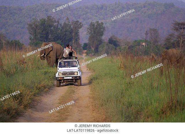 Jim Corbett National Park is the oldest national park in India. Herds of wild elephant breed successfully in the Ramganga valley