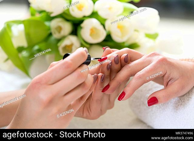 Close-up of the hands of a skilled manicurist applying elegant red nail polish, on the medium length nails of a young woman in a trendy beauty salon