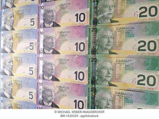 Various Canadian dollar banknotes