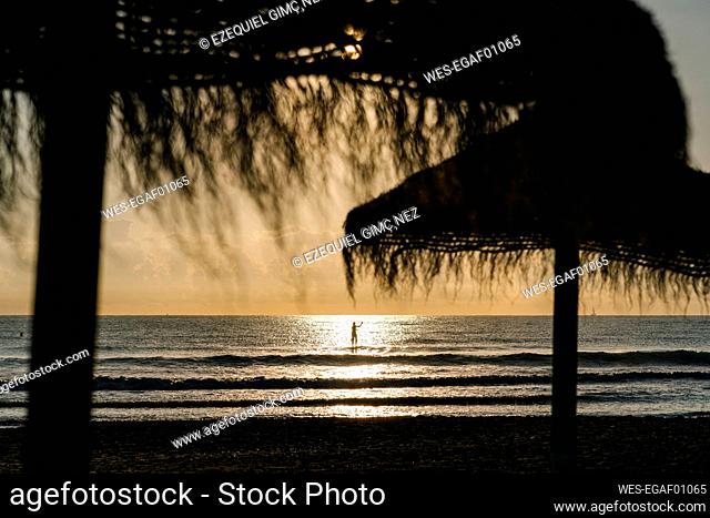 Silhouette woman surfing with paddleboard on sea during sunrise