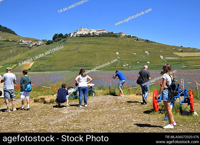 Tourists among the fields of blooming lentils , Castelluccio di Norcia (Perugia) ITALY-07-07-2020