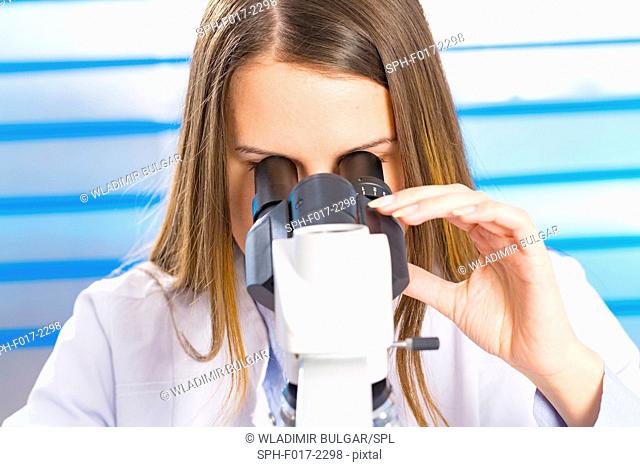 MODEL RELEASED. Young woman using microscope in laboratory