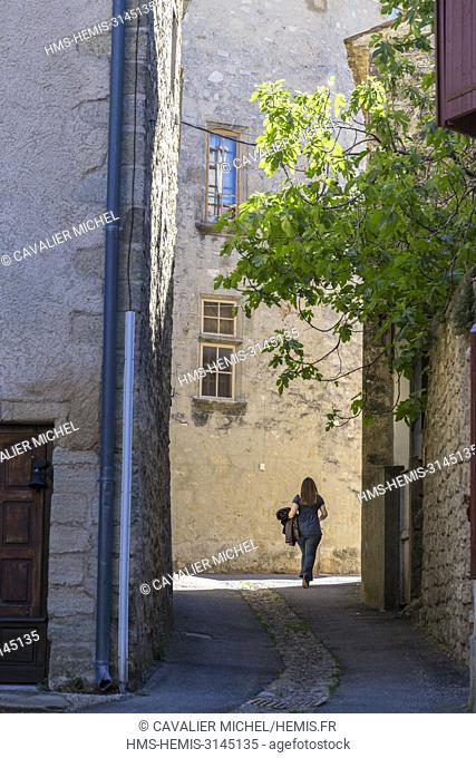 France, Vaucluse, regional natural reserve of Luberon, Viens, narrow alley of the old village