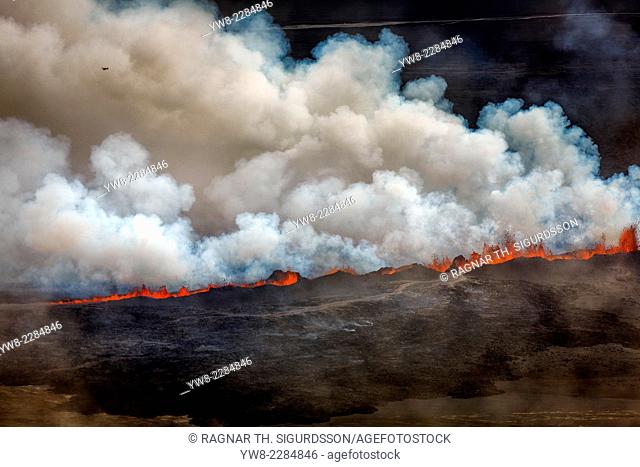 Lava and plumes from the Holuhraun Fissure by the Bardarbunga Volcano, Iceland