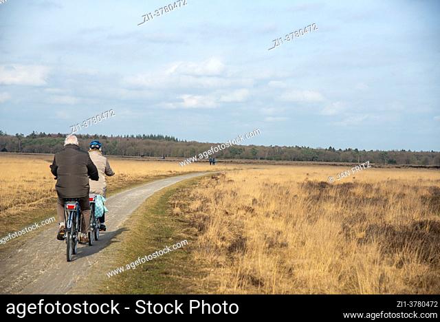 cyclists at Dwingelderveld in Drente, Holland