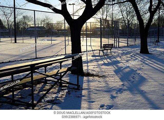 Peaceful winter scene featuring sunset and shadows near a tennis court, Windsor, Ontario, Canada