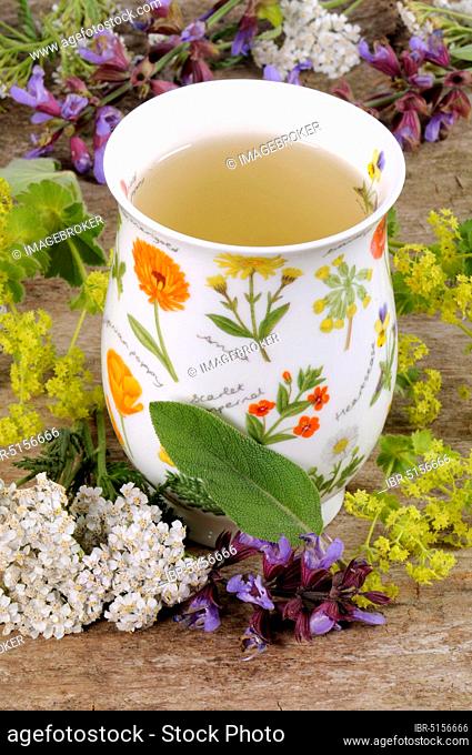 Cup of herbal tea with yarrow, sage and lady's mantle, menstrual cramps, menopausal tea, for hot flashes