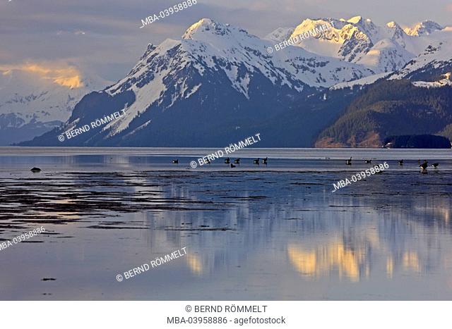 North America, the USA, Alaska, Copper River delta