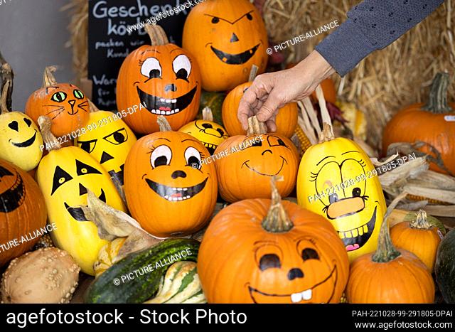26 October 2022, Lower Saxony, Osnabrück: Pumpkins with faces painted on them lie in the display of a farm with store sales