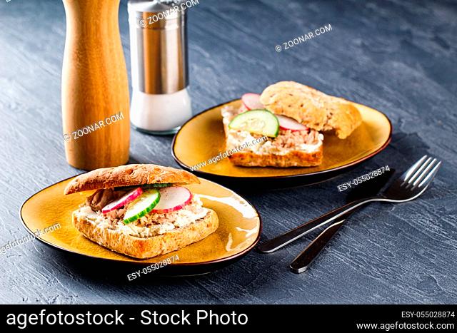 Delicious sandwich with cream cheese, tuna and fresh vegetables, cucumber and radish on a plate. Delicious vegetarian healthy food, close-up