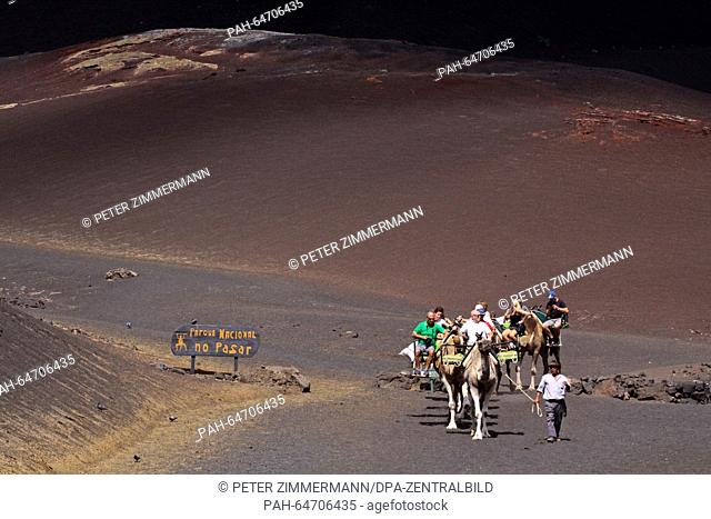 Tourists ride camels in the Timanfaya National Park on the Canary Island Lanzarote, Spain, 09 October 2015. The Timanfaya National Park is in the southwestern...
