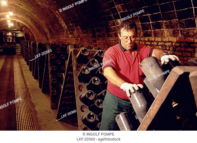 Man turning bottles, Cava Cellar methode champenoise, Codorniu, Sant Sadurni d'Anola, Catalonia, Spain