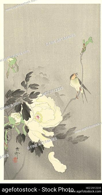 Bird and peony, 1920-1930. Creator: Ohara, Koson (1877-1945)
