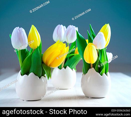 Easter tulips in fresh colors