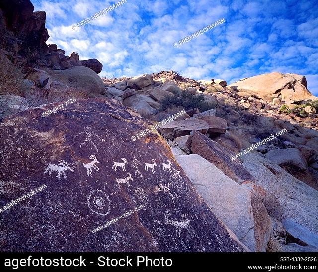 Desert bighorn sheep petroglyphs, Great Basin Style, Grapevine Canyon, Newberry Mountains, Lake Mead National Recreation Area, Nevada