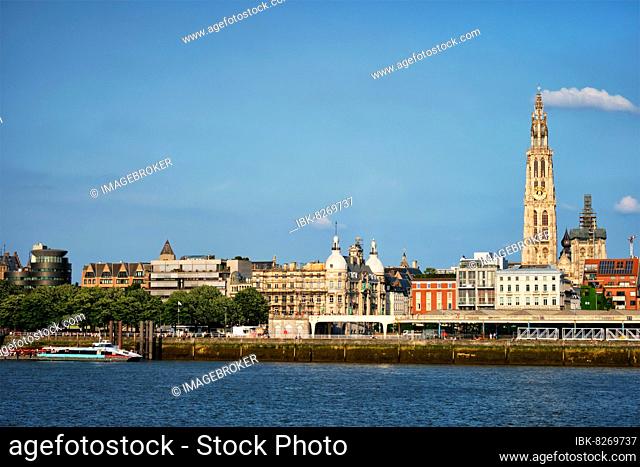 View of Antwerp over the River Scheldt with Cathedral of Our Lady Onze-Lieve-Vrouwekathedraal Antwerpen, Belgium, Europe