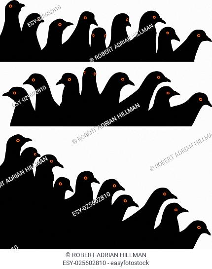 Set of editable vector foreground silhouettes of pigeon heads with each bird as a separate object