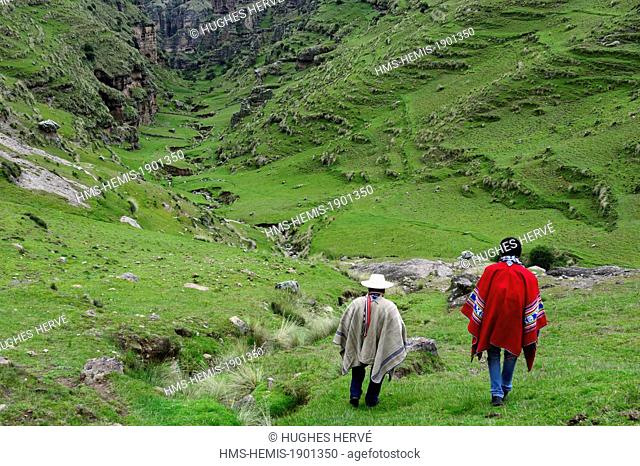 Peru, Cuzco province, Livitaca, the valley of Chinisiri whose caves contain an Inca necropolis consisting of 370 chullpas (funerary towers)