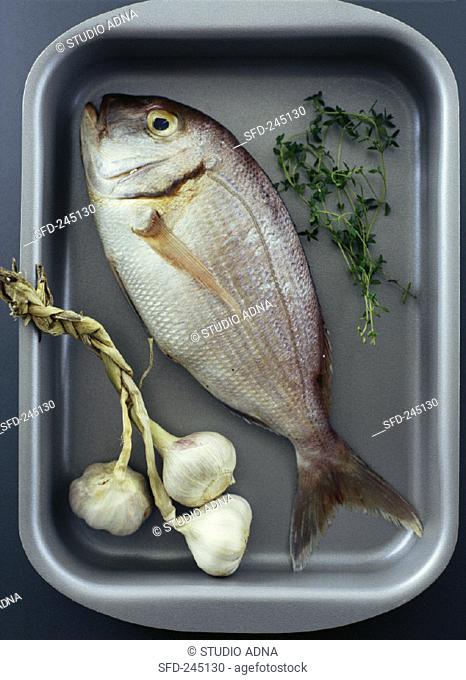 Redfish with garlic and herbs in roasting tin