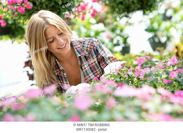 A woman in a plant nursery surrounded by flowering plants and green foliage