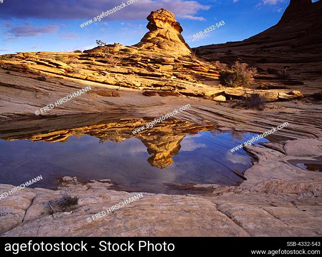 Navajo Sandstone beehives reflected in ephemeral slickrock pool, Vermilion Cliffs National Monument, Paria-Vermilion Cliffs Wilderness, Arizona