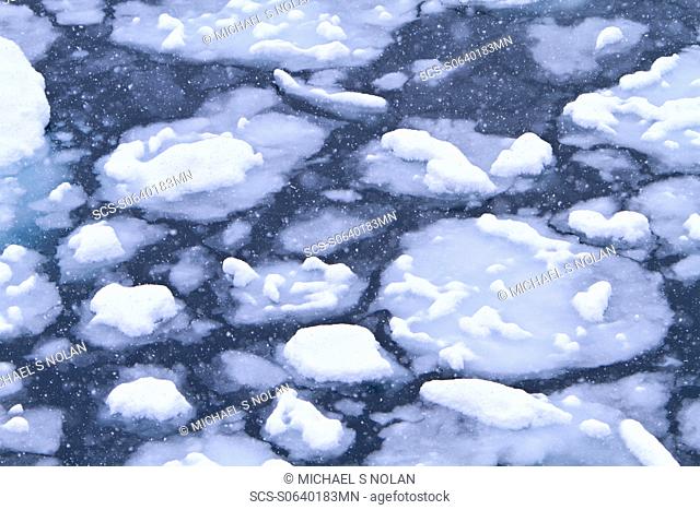 Blizzard conditions cause the ocean's surface to begin to freeze in Dahlmann Bay, Antarctica, Southern Ocean MORE INFO First signs of grease ice as the surface...