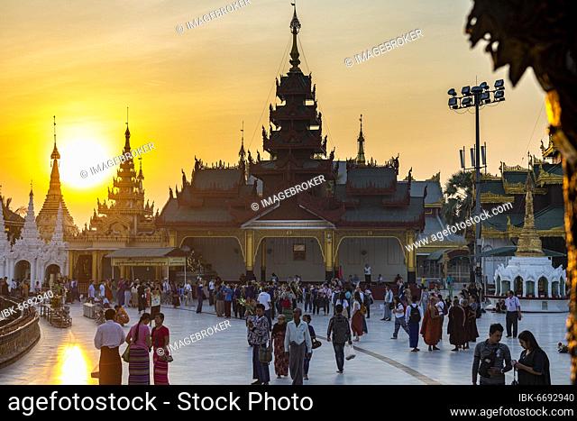 Shwedagon pagoda at sunset, Yangon, Myanmar, Asia