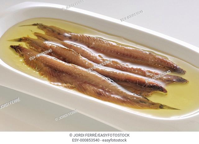 Salted anchovies to the traditional method of the Costa Brava, Catalonia, Spain, Europe