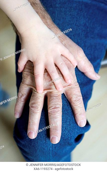 A small child's hand rests on top of his grandfather's hand