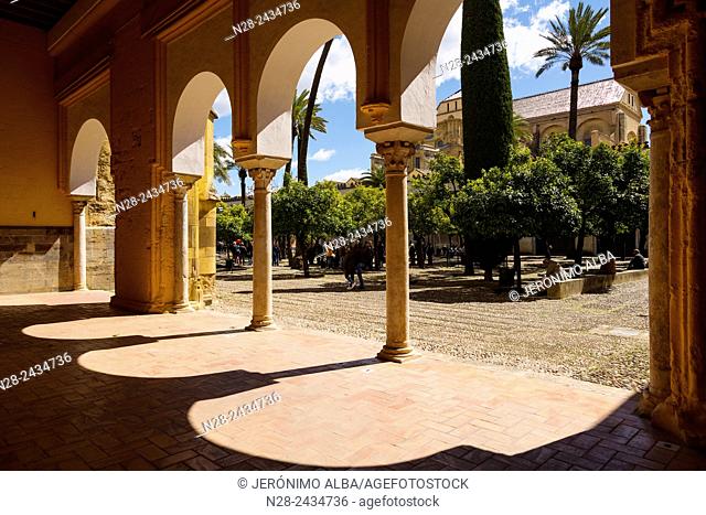 Patio de los Naranjos, Mosque-Cathedral, Cordoba, Andalusia, Spain