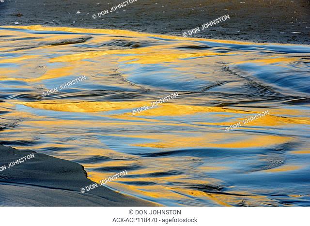 Seal Rock reflected in wet sand near a stream running into the ocean, Seal Rock State Recreation Site, Seal Rock, Oregon, USA