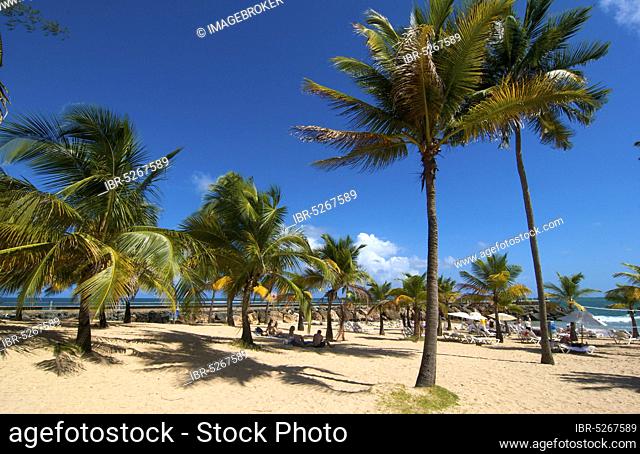 Beach, Isla Verde, San Juan, Puerto Rico, North America