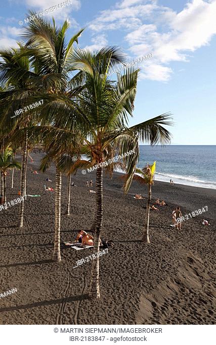 Playa de Puerto Naos, La Palma, Canary Islands, Spain, Europe, PublicGround